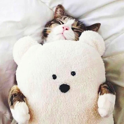 2023年最火的搞笑头像(32张)