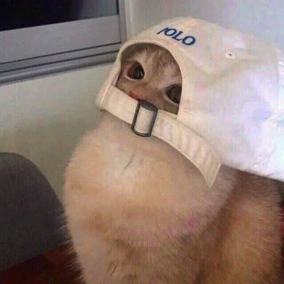 2023年最火的搞笑头像(32张)