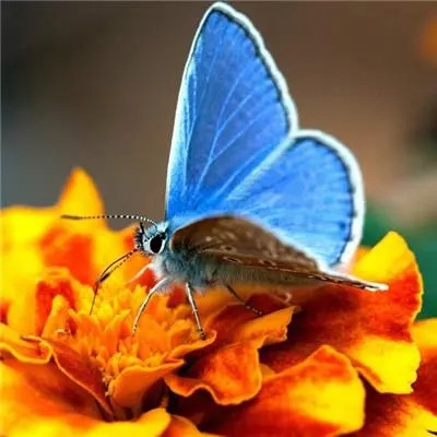 2023最时尚的微信头像(24张)