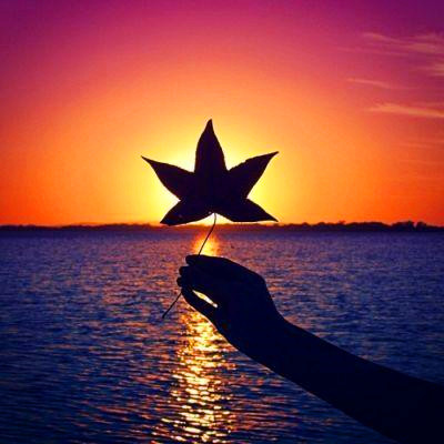 2023最火的好运头像(22张)