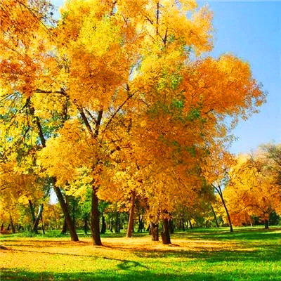 2023微信最火头像(精选24张)