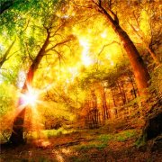 2023微信最火头像(精选24张)