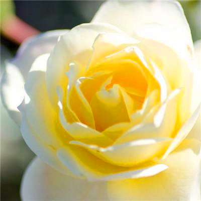 2023微信最火头像(精选24张)