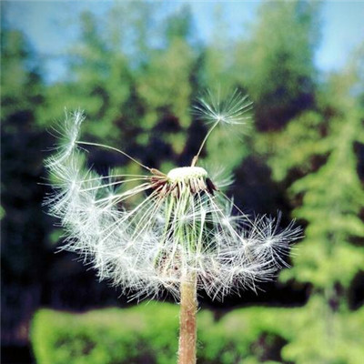 2023最红微信头像(16张)