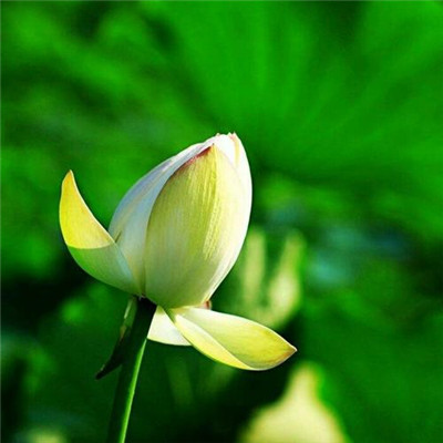 2023最红微信头像(16张)