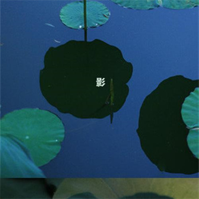 2023年最流行花朵头像(精选24张)