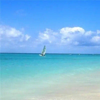 抖音最火的2023年头像(精选24张)