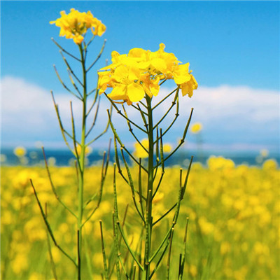 抖音最火的2023年头像(精选24张)