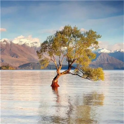 抖音最火的2023年头像(精选24张)