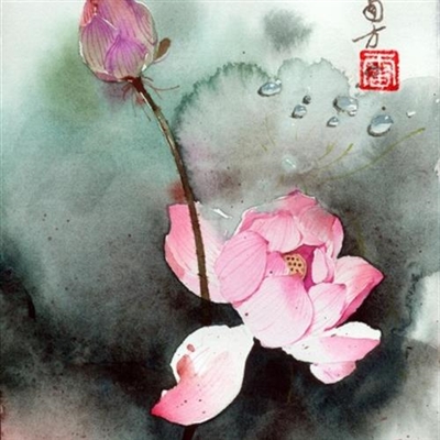 2023年最漂亮荷花微信头像(24张)