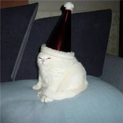 2023年最火的沙雕头像(精选26张)