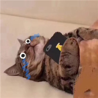 2023年最火的沙雕头像(精选26张)