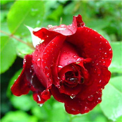 2023年最火爆微信头像(24张)