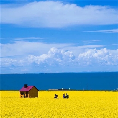 2023最火成年人头像(24张)