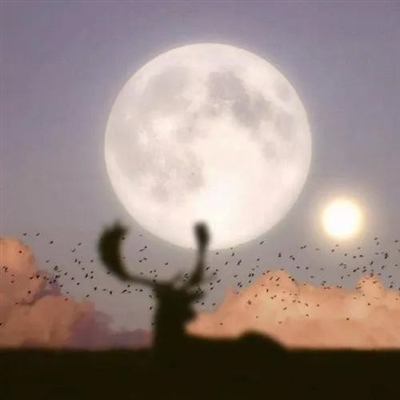 2023最火成年人头像(24张)