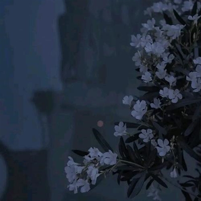 2023最火成年人头像(24张)