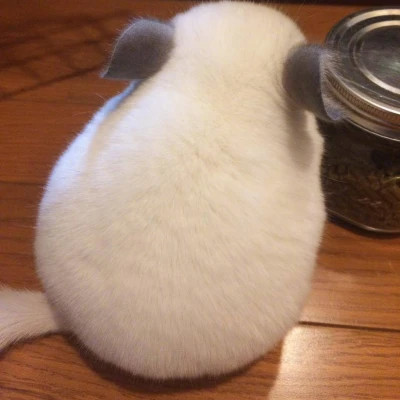 2023最火沙雕头像(24张)