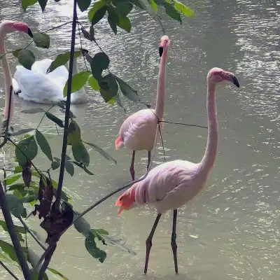 2023年最网红头像(精选24张)