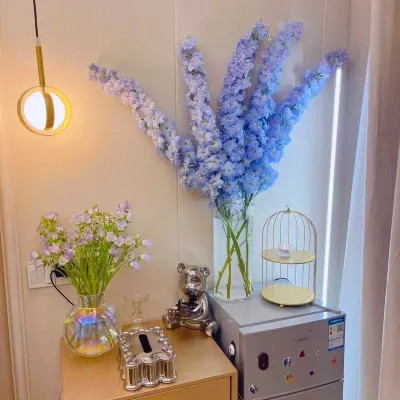 2023年最网红头像(精选24张)