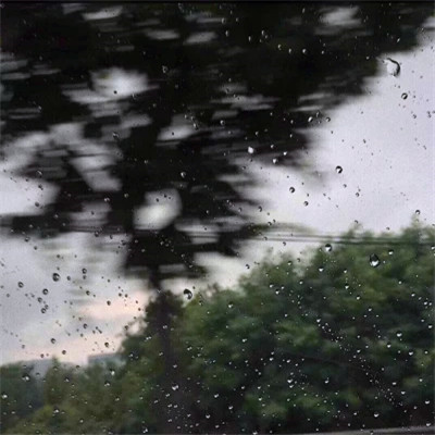 2023年最网红头像(精选24张)