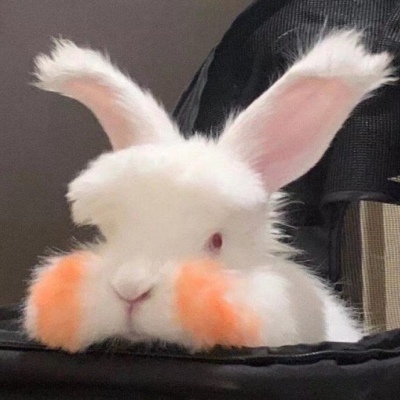 2023年最火的恶搞头像(16张)