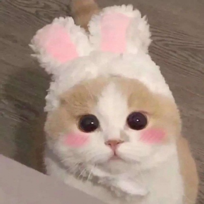 2023年最火的恶搞头像(16张)