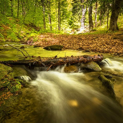 2023最吉祥的山水头像(22张)