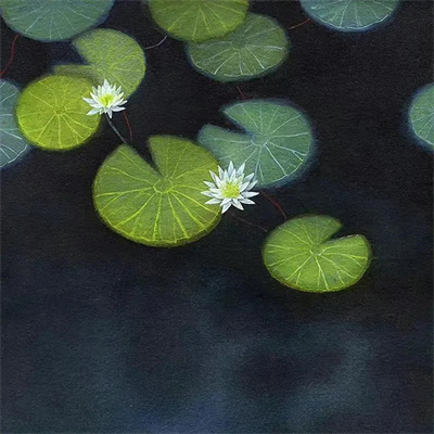 2023最惊艳的壁纸头像(精选28张)