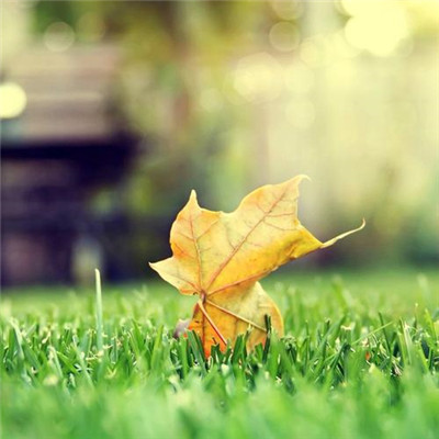 2023最火暴富微信头像(精选23张)