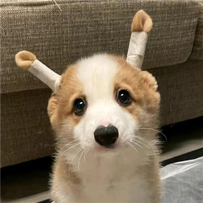 很罕见又很好看的头像二次元(24张)