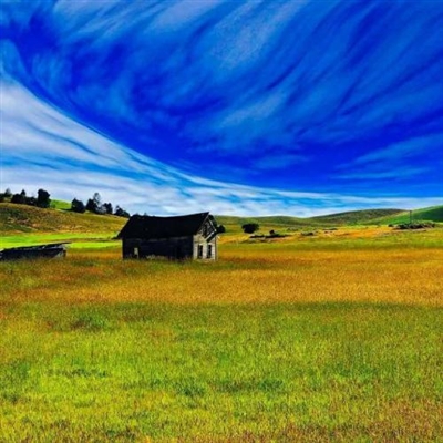 一看就舒心的微信头像(精选21张)