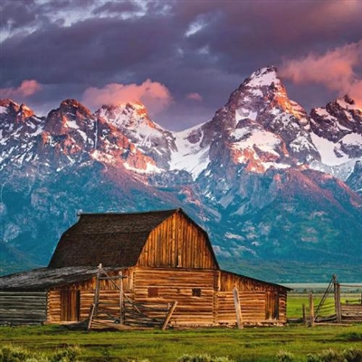 一看就舒心的微信头像(精选21张)