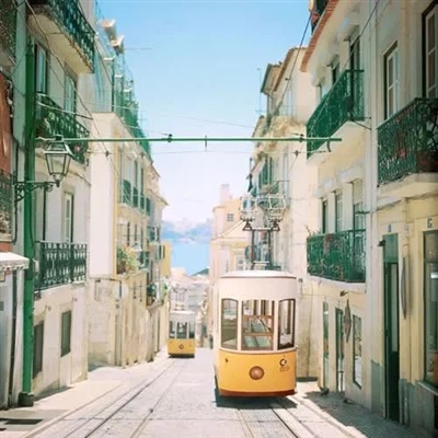 一看就舒心的微信头像(精选21张)