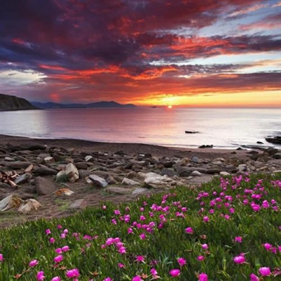 一看就舒心的微信头像(精选21张)