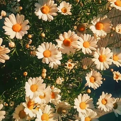 永久吸引人的头像(精选24张)