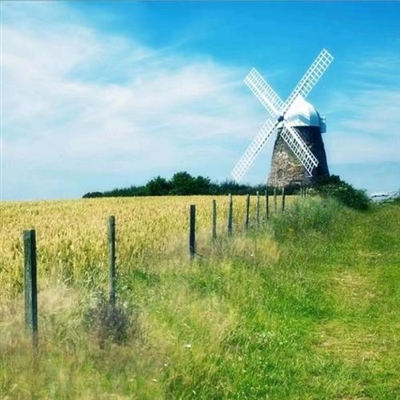 不容易撞又很治愈的头像(精选22张)