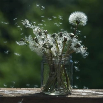 特别稀少超好看的头像(精选24张)