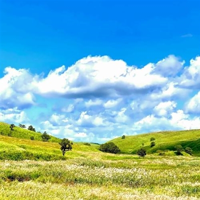 特别稀少超好看的头像(精选24张)
