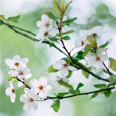 独特头像简单干净(22张)