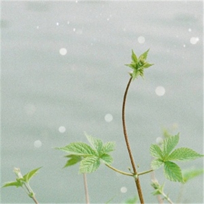 独特头像简单干净(22张)