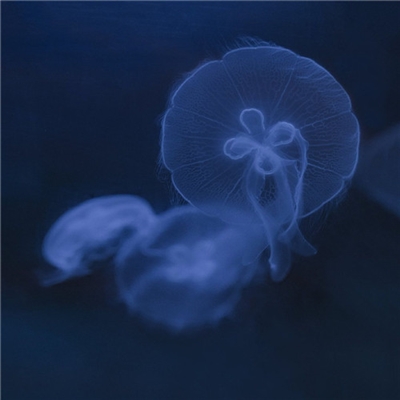 独特头像简单干净(22张)