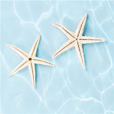 独特头像简单干净(22张)