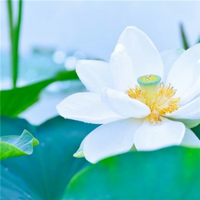 独特头像简单干净(22张)