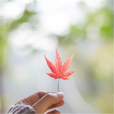 独特头像简单干净(22张)