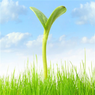 提升运气的微信头像图片(24张)