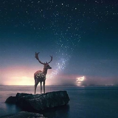 提升运气的微信头像图片(24张)