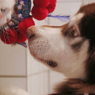 独一无二的情侣头像一对可爱(精选16张)