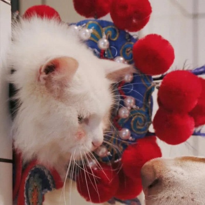 独一无二的情侣头像一对可爱(精选16张)