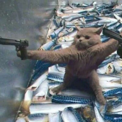 适合00后学生用的情侣头像动漫(24张)