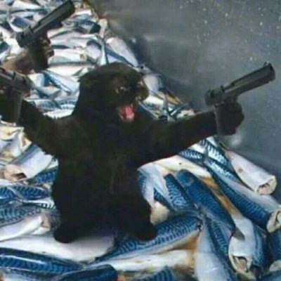 适合00后学生用的情侣头像动漫(24张)